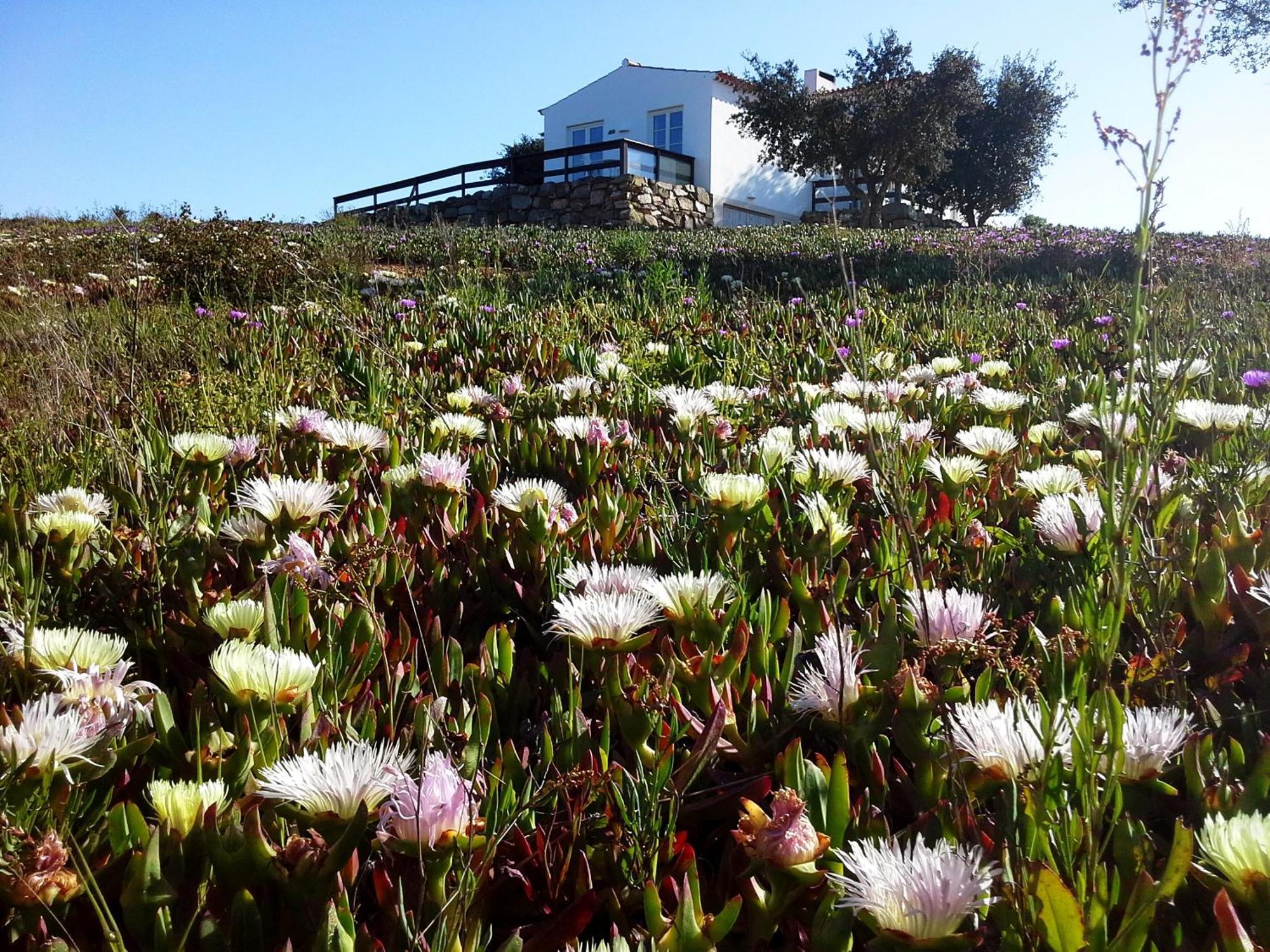 Gasthaus Gotas De Luar Turismo Rural Vila Nova de Milfontes Zimmer foto